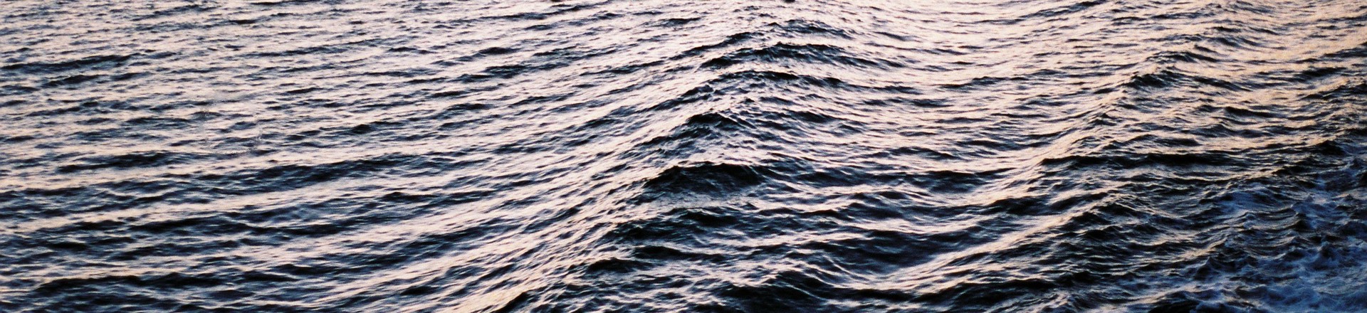 000016.JPG