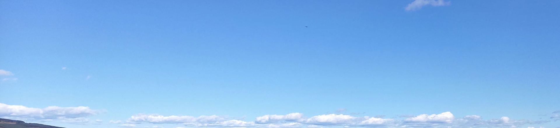 banner.jpg