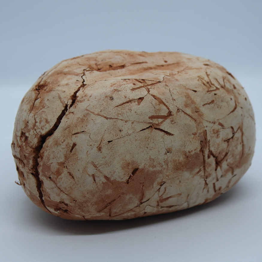 Eilidh Guthrie Wild Clay And Straw 12 03 2023