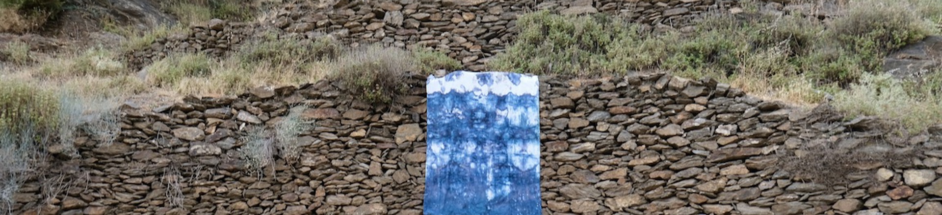 DSCF4476.JPG
