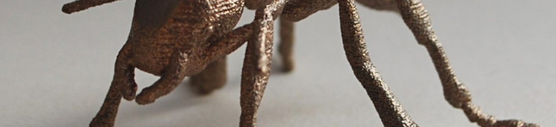 Ant01.jpg