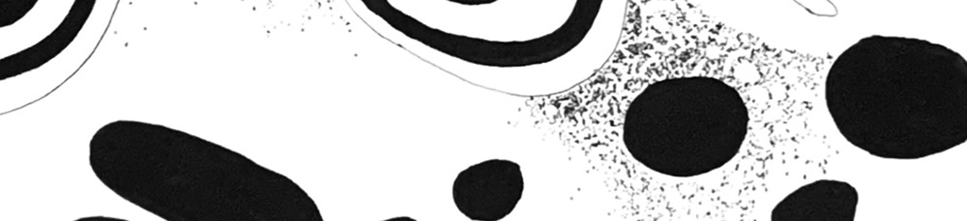 IMG_0496.jpeg