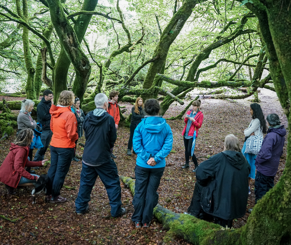 Dunollie Woods, Rhona Nic Dhùghaill. Credit Mika Schröder