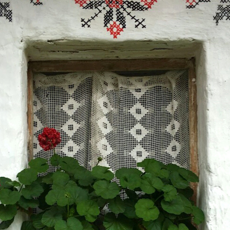 Untitled Design