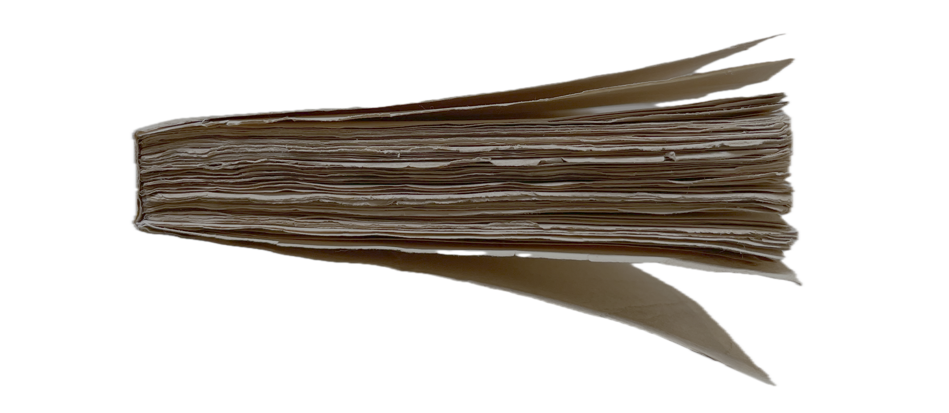 IMG_8552.png