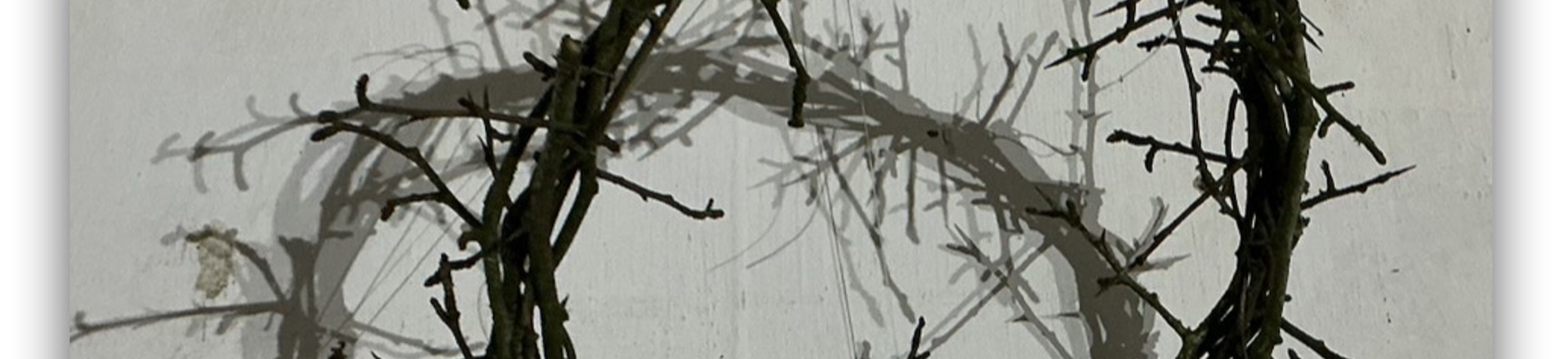 IMG_2021.jpeg